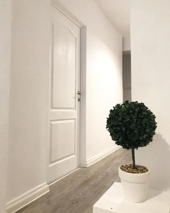 Joy City Stay Victoriei 7E-30 2 Timisoara Bagian luar foto